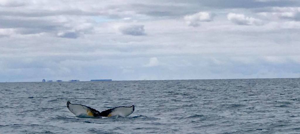 Iceland Part I: Reykjavik, Day&nbsp;1